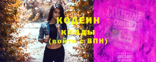 2c-b Каменка