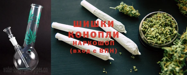 2c-b Каменка